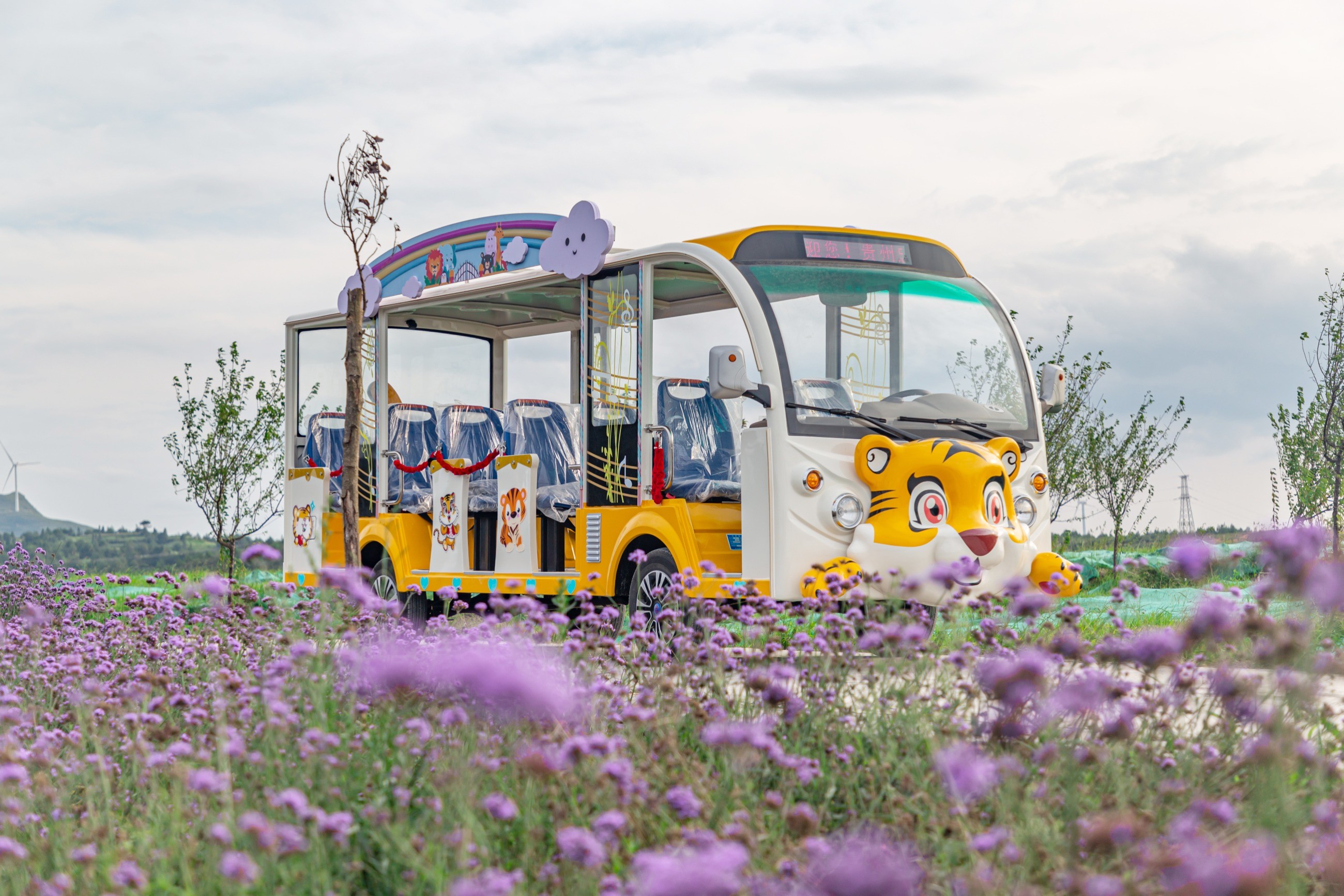 電動(dòng)觀光車(chē)
